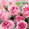 Rose Bouquet HD
