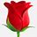 Rose Emoji iPhone