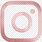 Rose Gold Instagram Logo