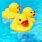 Rubber Duck in Bathtub