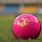SG Pink Cricket Ball