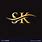 SK Logo Cool