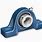 SKF Pillow Block Bearing