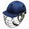 SS Cricket Helmet