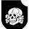 SS Skull Logo
