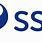 SSE Logo Transparent