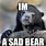 Sad Bear Meme