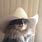 Sad Cat Cowboy Hat