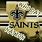 Saints Who Dat Nation