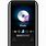 Samsung MP3 Phone
