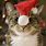 Santa Hat Cat Hilarious