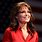 Sarah Palin View