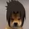 Sasuke Dog