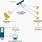 Satellite Network Diagram