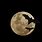 Scary Halloween Bats Moon