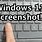 Screen Shot PC Windows 11