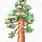 Sequoia Tree Clip Art