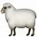 Sheep Emoji PNG
