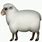 Sheep Emoji iPhone