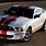 Shelby GT 500 Trim of Ford Mustang
