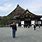 Shogun Palace Kyoto