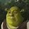 Shrek Funny Face GIF