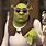 Shrek Meme Photos