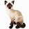 Siamese Cat Stuffed Animal