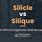 Silicle vs Silique