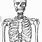 Skeleton Bones Drawing