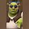 Slay Shrek
