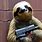 Sloth with Gun