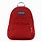 Small Jansport Backpack