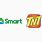 Smart TNT Logo