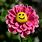 Smiley-Face Flower