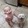 Smiling Baby and Dog