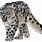 Snow Leopard deviantART
