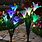 Solar Garden Flower Lights