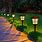 Solar Lights Outdoor Lighting