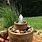 Solar Water Fountains for Gardens