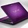 Sony Vaio Purple