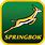 South African Rugby Team Logo