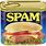 Spam Food Meat
