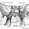 Sphenoid Bone Drawing