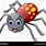 Spider Cartoon Vector