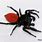 Spider with Red Abdomen