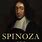 Spinoza a Life Paperback