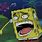 Spongebob Enel Face