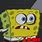 Spongebob N-word