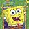 Spongebob SquarePants Season 1 DVD